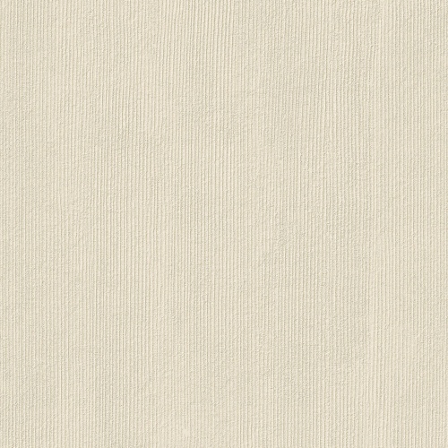  TEXTURE PAPER