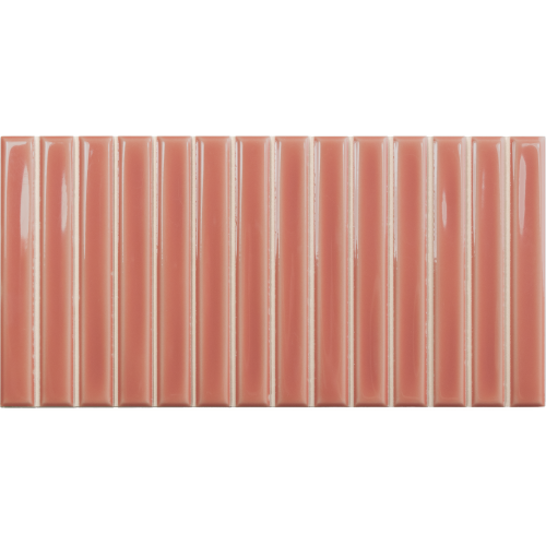  SB Coral