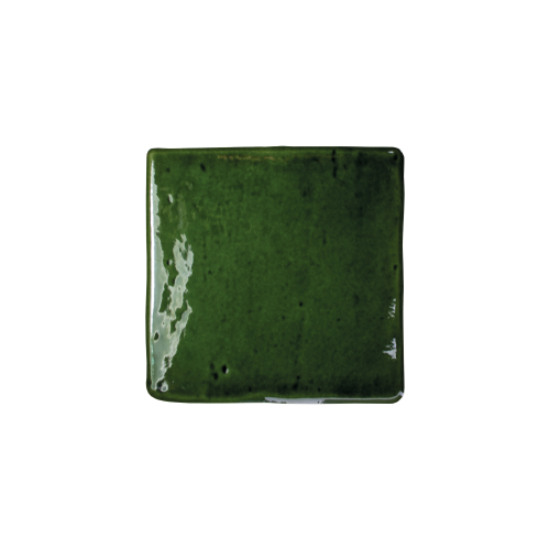 Roots S Olive