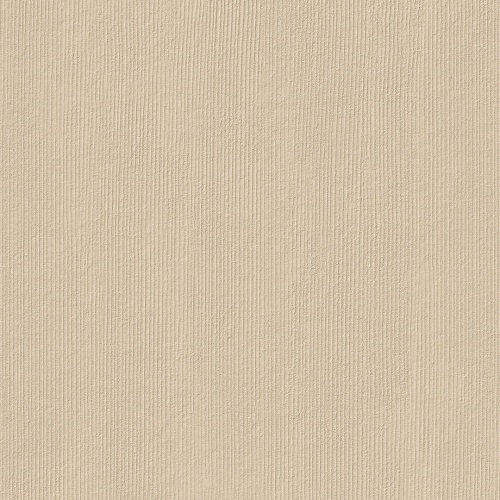  TEXTURE DESERT